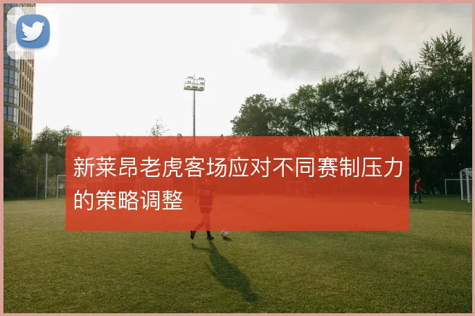 新莱昂老虎客场应对不同赛制压力的策略调整