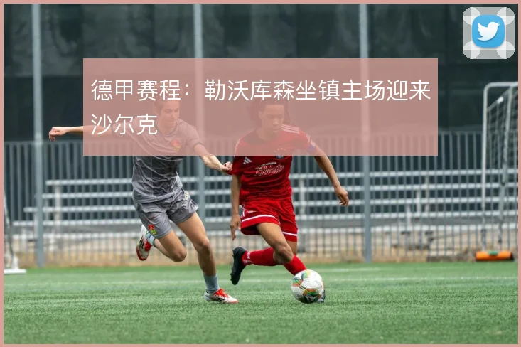 德甲赛程：勒沃库森坐镇主场迎来沙尔克